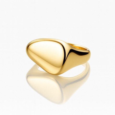 Pierścionek stal chirurgiczna platerowana 14k złotem PST996, Rozmiar pierścionków: US6 EU11