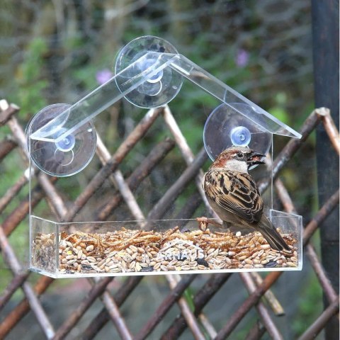 Karmnik, domek dla ptaków z przyssawkami do okna, transparentny PT04